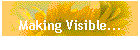 Making Visible...