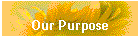 Our Purpose